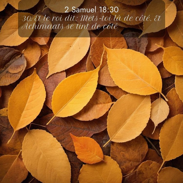image nature avec verset biblique de la Bible