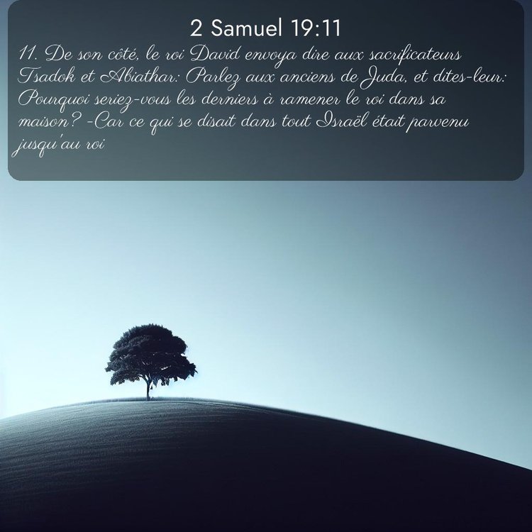 Segond 2 Samuel 19:11