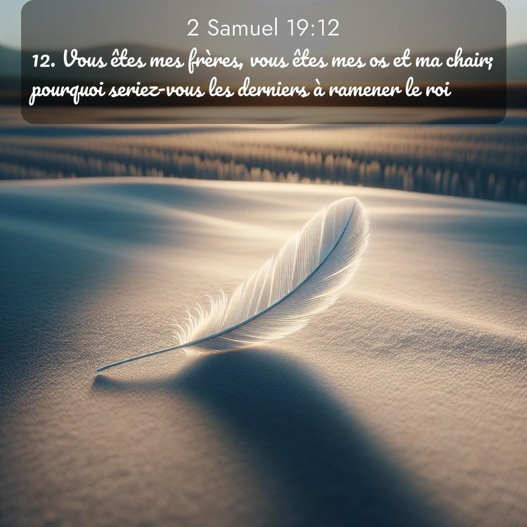 Segond 2 Samuel 19:12