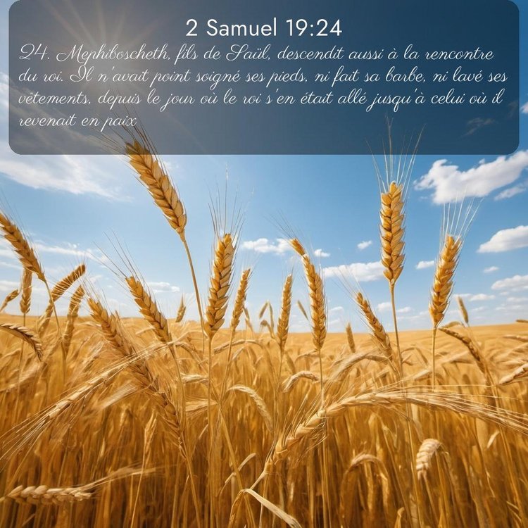 Segond 2 Samuel 19:24