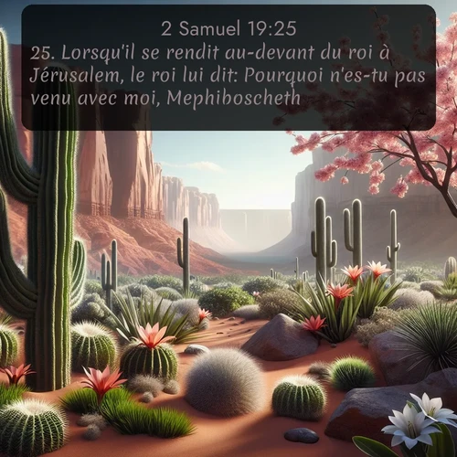 Segond 2 Samuel  ; image nature: image avec le verset biblique :Lorsqu&#039;il se rendit au-devant du roi à Jérusalem, le roi lui dit: Pourquoi n&#039;es-tu pas venu avec moi, Mephiboscheth? ;  ; 19:25