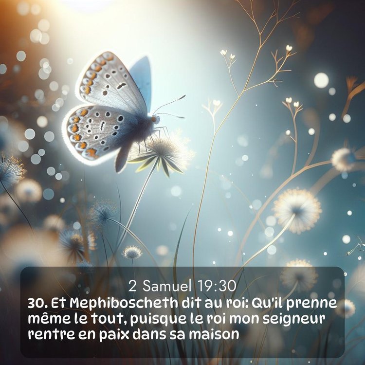 Segond 2 Samuel 19:30