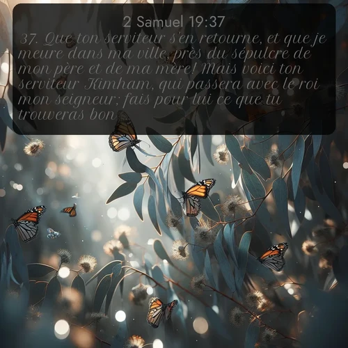 Segond 2 Samuel  ; image nature: image avec le verset biblique :Que ton serviteur s&#039;en retourne, et que je meure dans ma ville, près du sépulcre de mon père et de ma mère! Mais voici ton serviteur Kimham, qui passera avec le roi mon seigneur; fais pour lui ce que tu trouveras bon. ;  ; 19:37