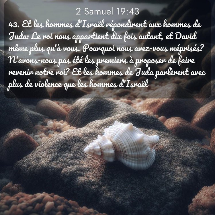 Segond 2 Samuel 19:43