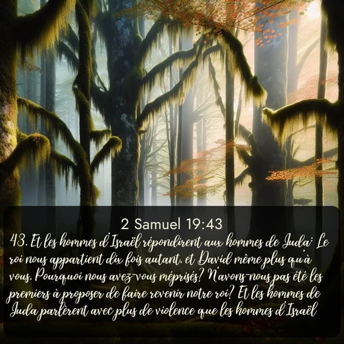 Segond 2 Samuel  ; image nature: image avec le verset biblique :Et les hommes d&#039;Israël répondirent aux hommes de Juda: Le roi nous appartient dix fois autant, et David même plus qu&#039;à vous. Pourquoi nous avez-vous méprisés? N&#039;avons-nous pas été les premiers à proposer de faire revenir notre roi? Et les hommes de Juda parlèrent avec plus de violence que les hommes d&#039;Israël. ;  ; 19:43