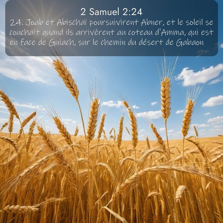 Segond 2 Samuel 2:24