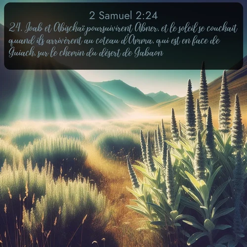 Segond 2 Samuel  ; image nature: image avec le verset biblique :Joab et Abischaï poursuivirent Abner, et le soleil se couchait quand ils arrivèrent au coteau d&#039;Amma, qui est en face de Guiach, sur le chemin du désert de Gabaon. ;  ; 2:24