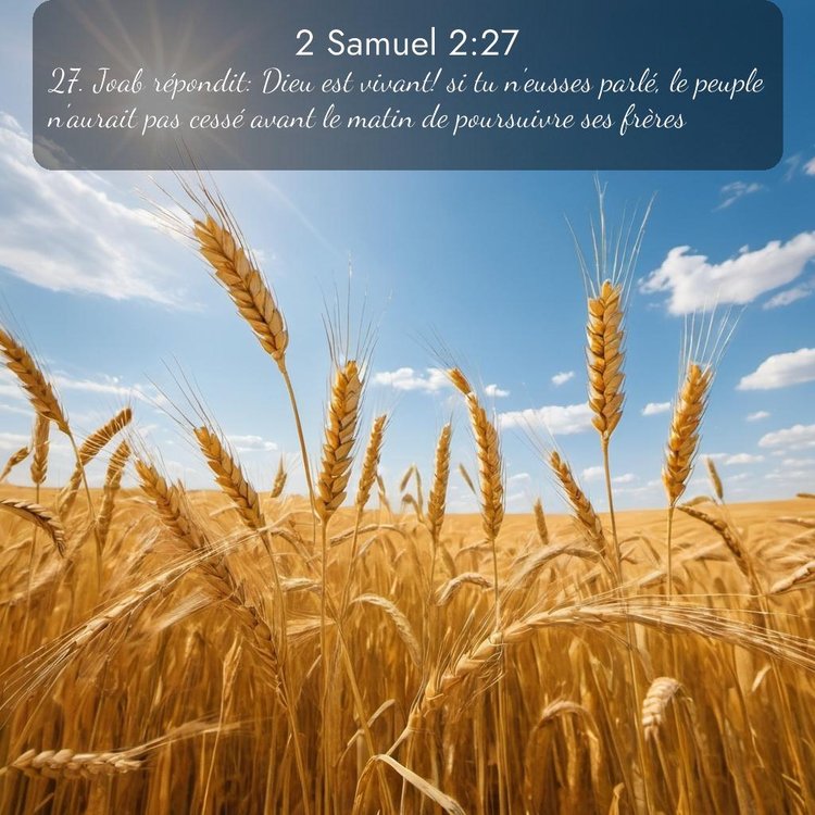 Segond 2 Samuel 2:27