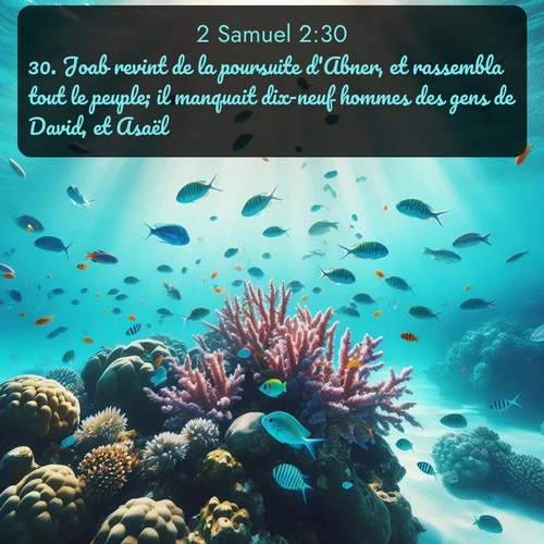Segond 2 Samuel  ; image nature: image avec le verset biblique :Joab revint de la poursuite d&#039;Abner, et rassembla tout le peuple; il manquait dix-neuf hommes des gens de David, et Asaël. ;  ; 2:30