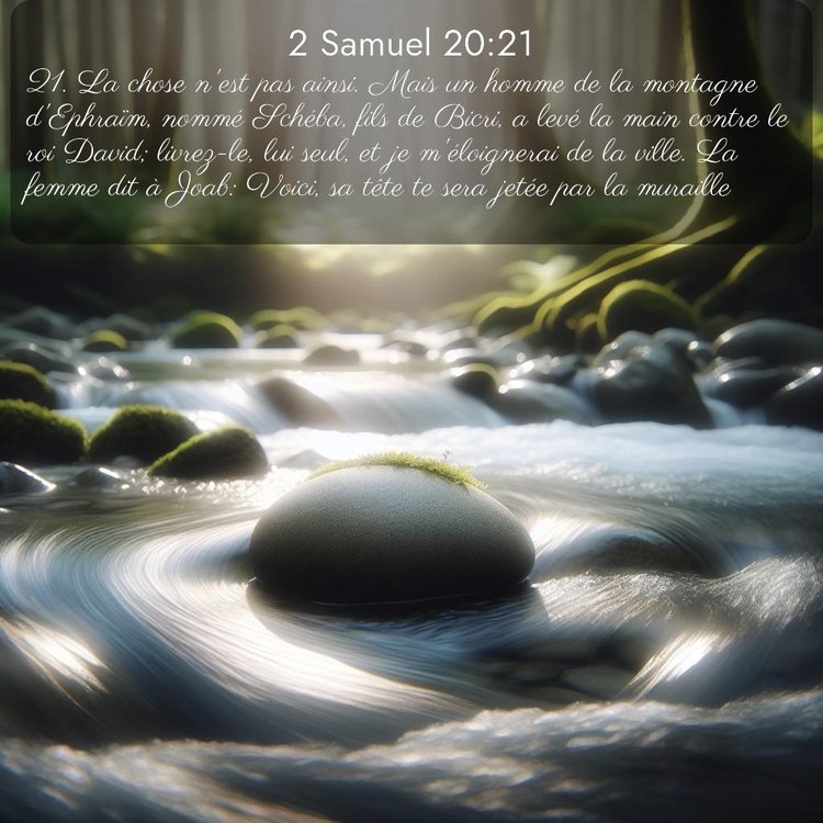 Segond 2 Samuel 20:21