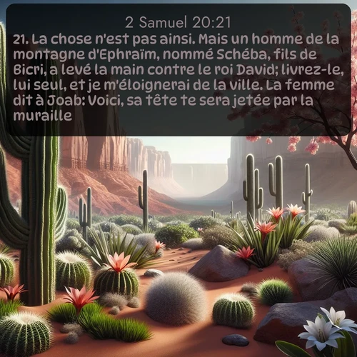Segond 2 Samuel  ; image nature: image avec le verset biblique :La chose n&#039;est pas ainsi. Mais un homme de la montagne d&#039;Ephraïm, nommé Schéba, fils de Bicri, a levé la main contre le roi David; livrez-le, lui seul, et je m&#039;éloignerai de la ville. La femme dit à Joab: Voici, sa tête te sera jetée par la muraille. ;  ; 20:21