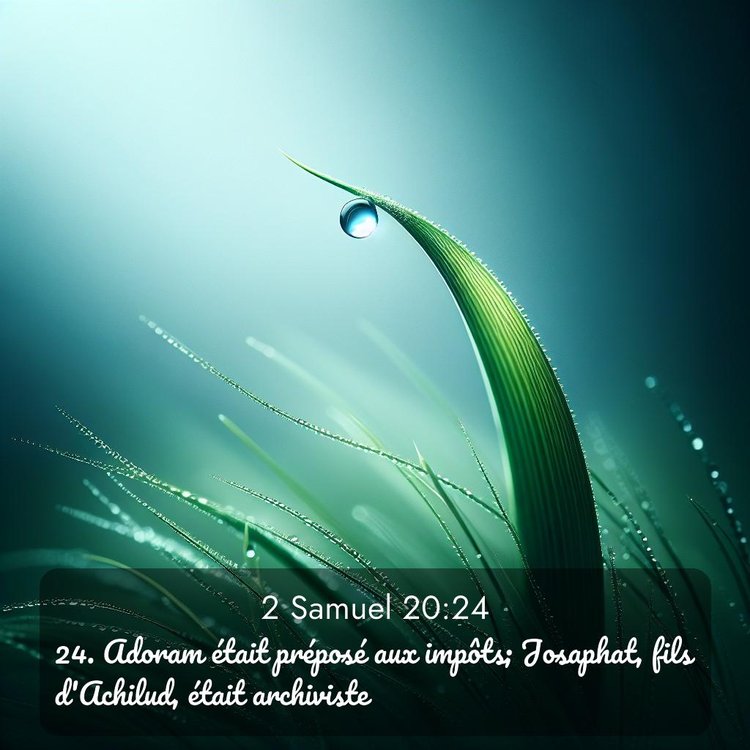 Segond 2 Samuel 20:24