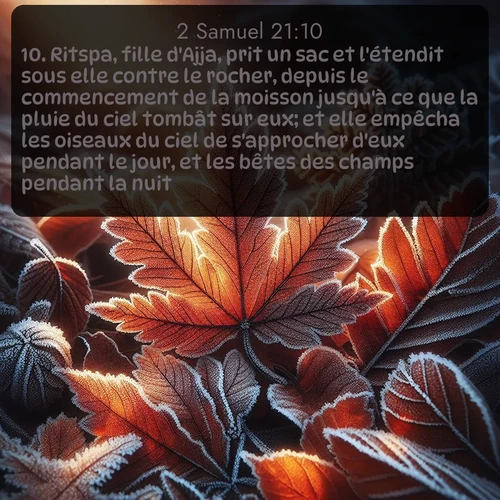 Segond 2 Samuel  ; image nature: image avec le verset biblique :Ritspa, fille d&#039;Ajja, prit un sac et l&#039;étendit sous elle contre le rocher, depuis le commencement de la moisson jusqu&#039;à ce que la pluie du ciel tombât sur eux; et elle empêcha les oiseaux du ciel de s&#039;approcher d&#039;eux pendant le jour, et les bêtes des champs pendant la nuit. ;  ; 21:10