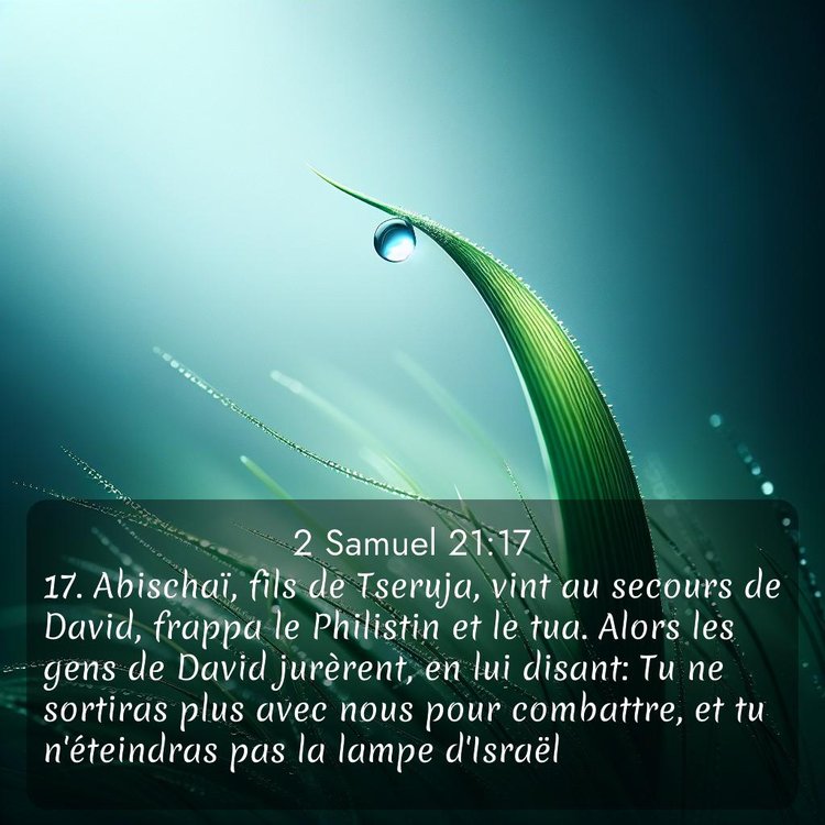 Segond 2 Samuel 21:17