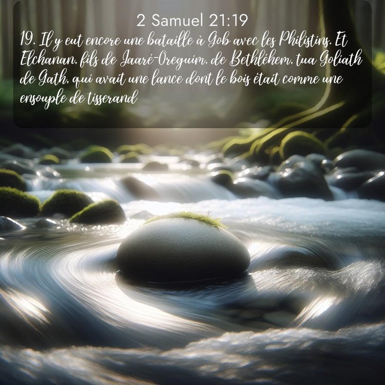 Segond 2 Samuel 21:19