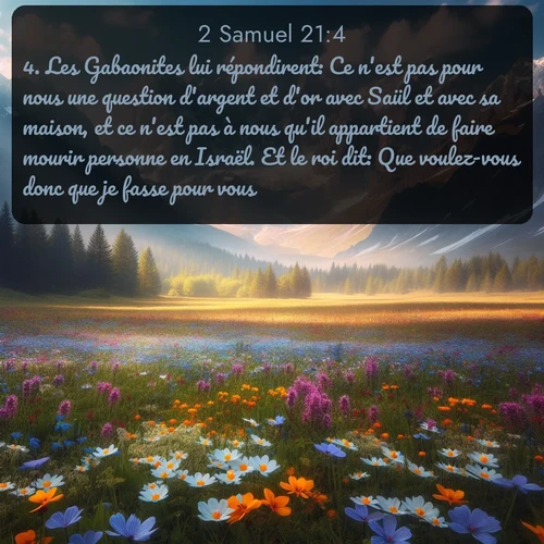 Segond 2 Samuel  ; image nature: image avec le verset biblique :Les Gabaonites lui répondirent: Ce n&#039;est pas pour nous une question d&#039;argent et d&#039;or avec Saül et avec sa maison, et ce n&#039;est pas à nous qu&#039;il appartient de faire mourir personne en Israël. Et le roi dit: Que voulez-vous donc que je fasse pour vous? ;  ; 21:4