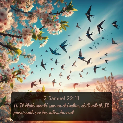 Segond 2 Samuel  ; image nature: image avec le verset biblique :Il était monté sur un chérubin, et il volait, Il paraissait sur les ailes du vent. ;  ; 22:11