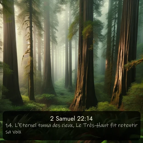 Segond 2 Samuel  ; image nature: image avec le verset biblique :L&#039;Eternel tonna des cieux, Le Très-Haut fit retentir sa voix; ;  ; 22:14