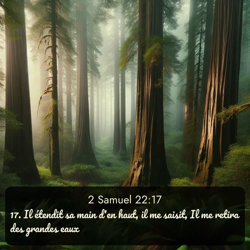 Segond 2 Samuel  ; image nature: image avec le verset biblique :Il étendit sa main d&#039;en haut, il me saisit, Il me retira des grandes eaux; ;  ; 22:17