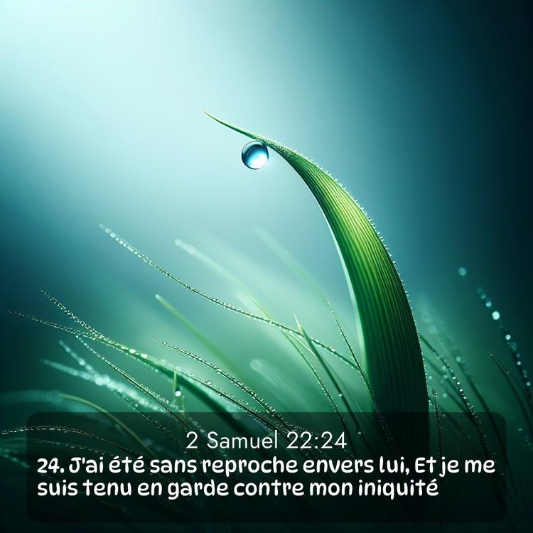 Segond 2 Samuel 22:24