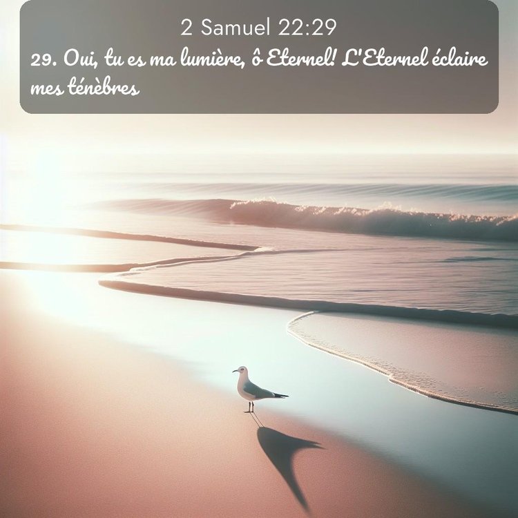 Segond 2 Samuel 22:29