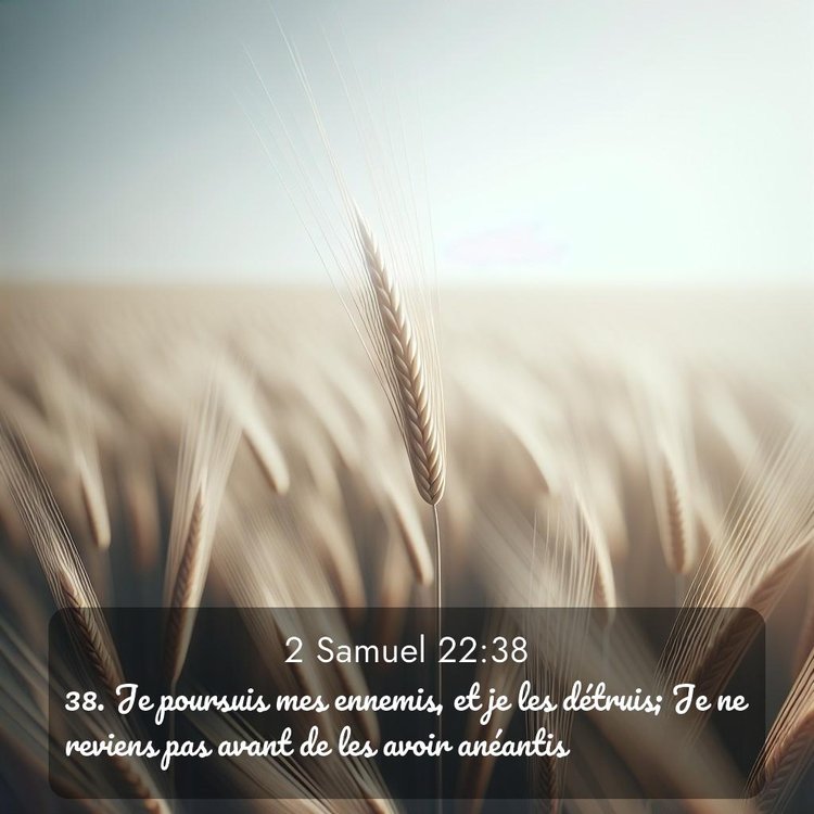 Segond 2 Samuel 22:38