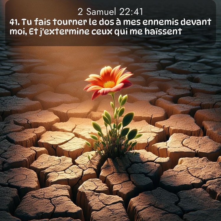 Segond 2 Samuel 22:41