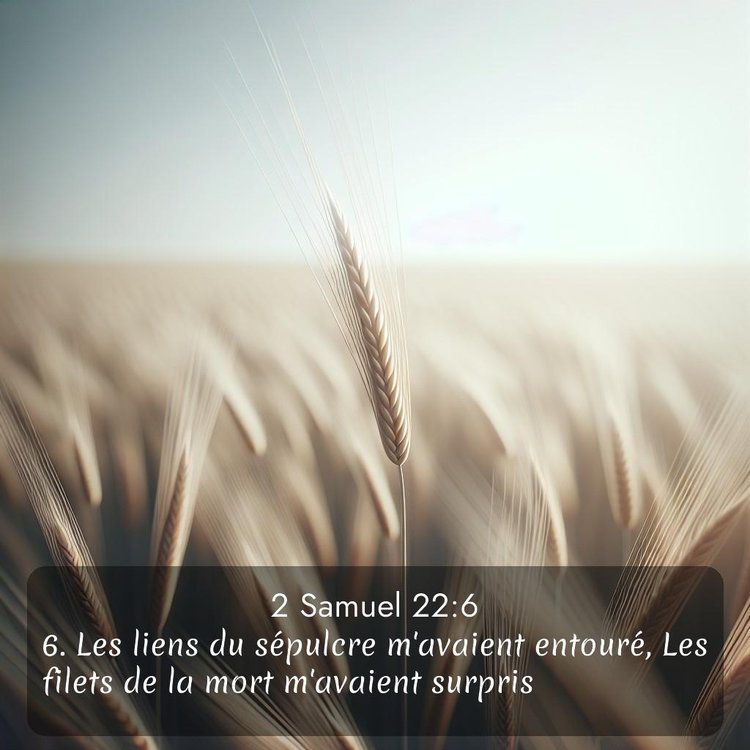 image nature avec verset biblique de la Bible