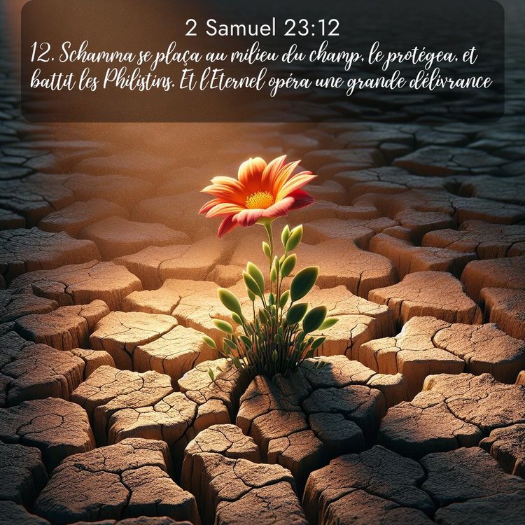 Segond 2 Samuel 23:12