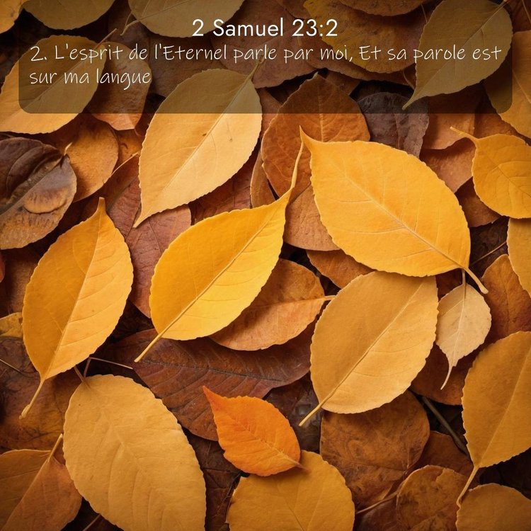 Segond 2 Samuel 23:2