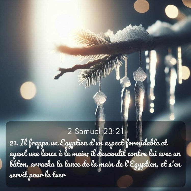 Segond 2 Samuel 23:21