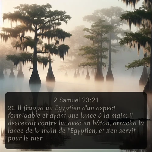 Segond 2 Samuel  ; image nature: image avec le verset biblique :Il frappa un Egyptien d&#039;un aspect formidable et ayant une lance à la main; il descendit contre lui avec un bâton, arracha la lance de la main de l&#039;Egyptien, et s&#039;en servit pour le tuer. ;  ; 23:21