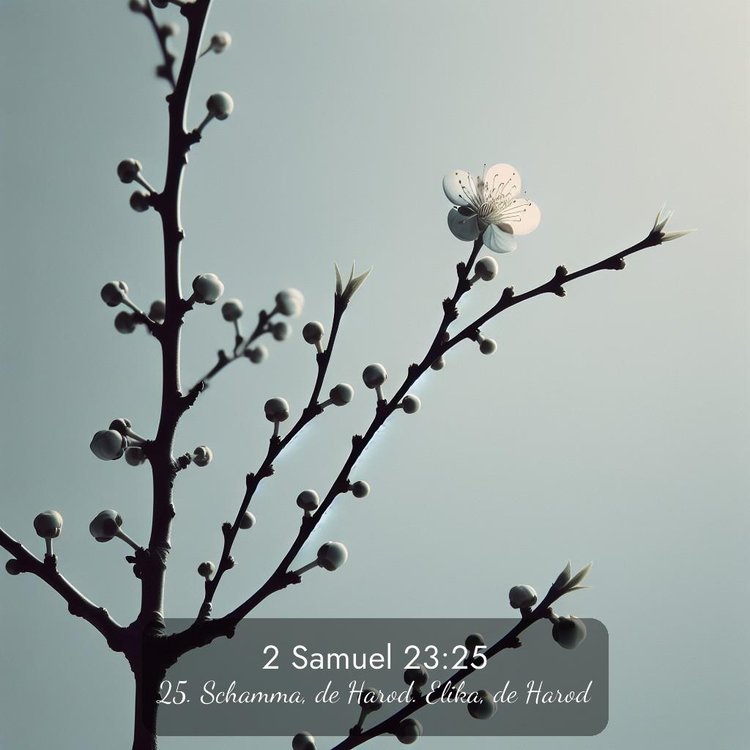 image nature avec verset biblique de la Bible