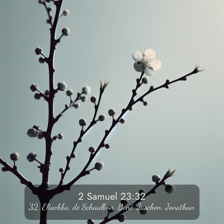 image nature avec verset biblique de la Bible