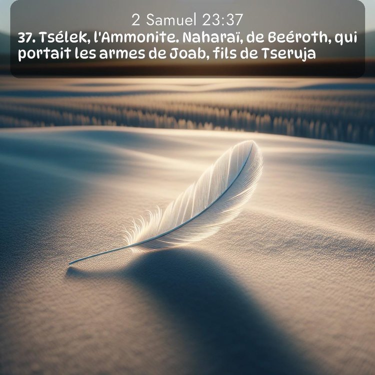 Segond 2 Samuel 23:37