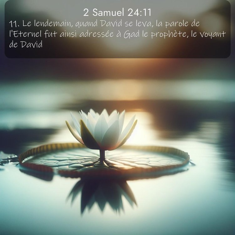 Bible Segond 2 Samuel 24:11