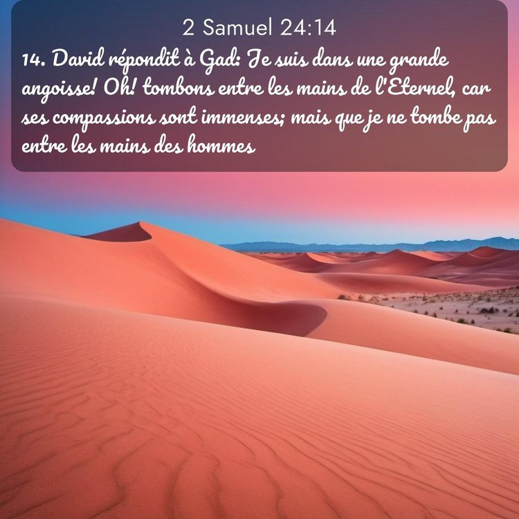 Bible Segond 2 Samuel 24:14