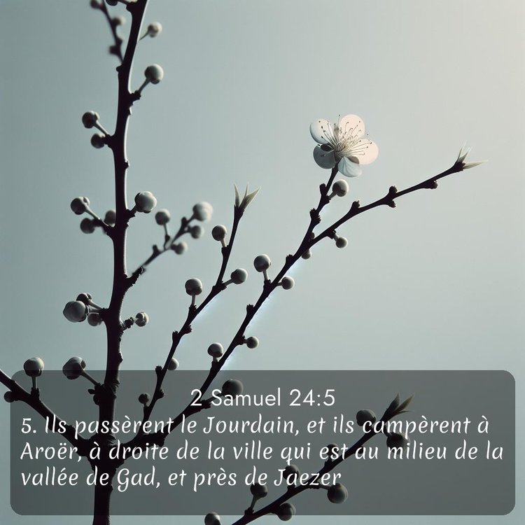 Bible Segond 2 Samuel 24:5