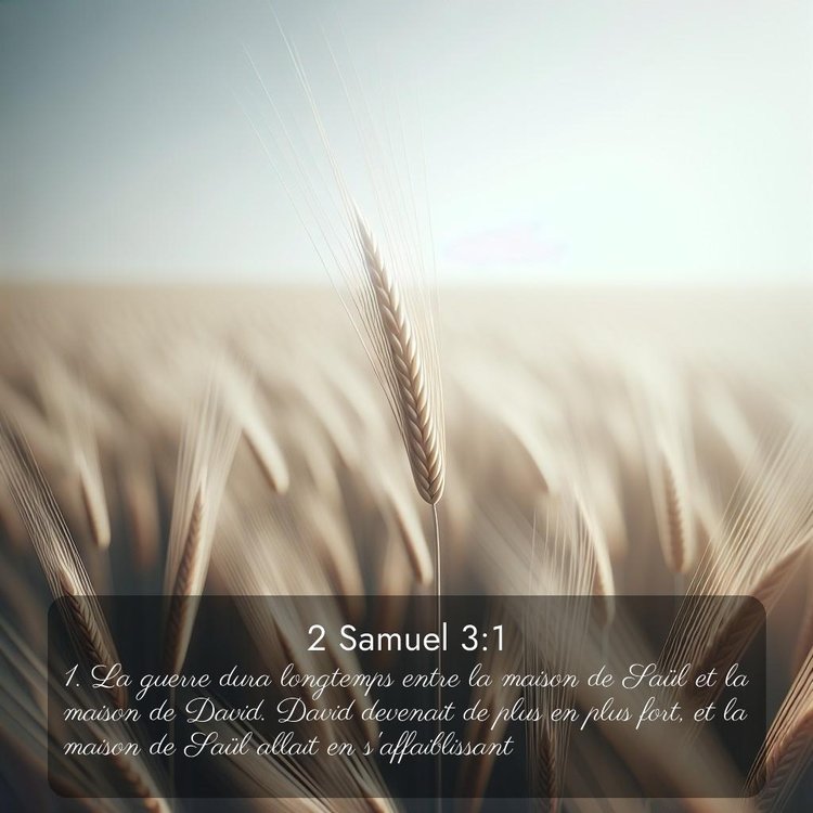 Segond 2 Samuel 3:1