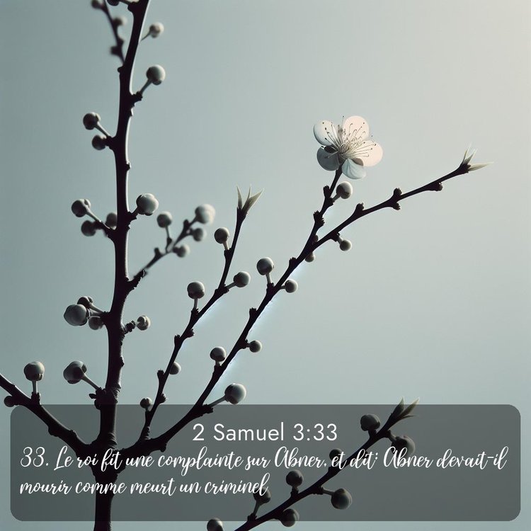 image nature avec verset biblique de la Bible