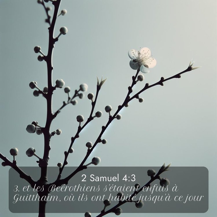 image nature avec verset biblique de la Bible