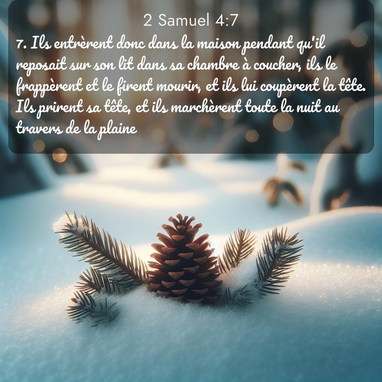 Segond 2 Samuel 4:7