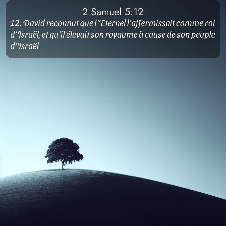 Segond 2 Samuel 5:12