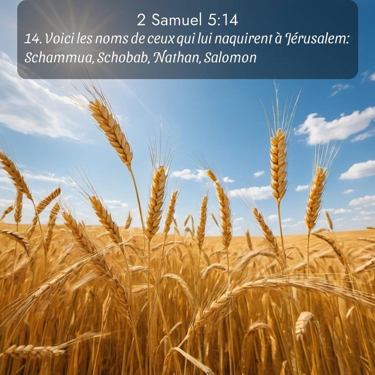 Segond 2 Samuel 5:14