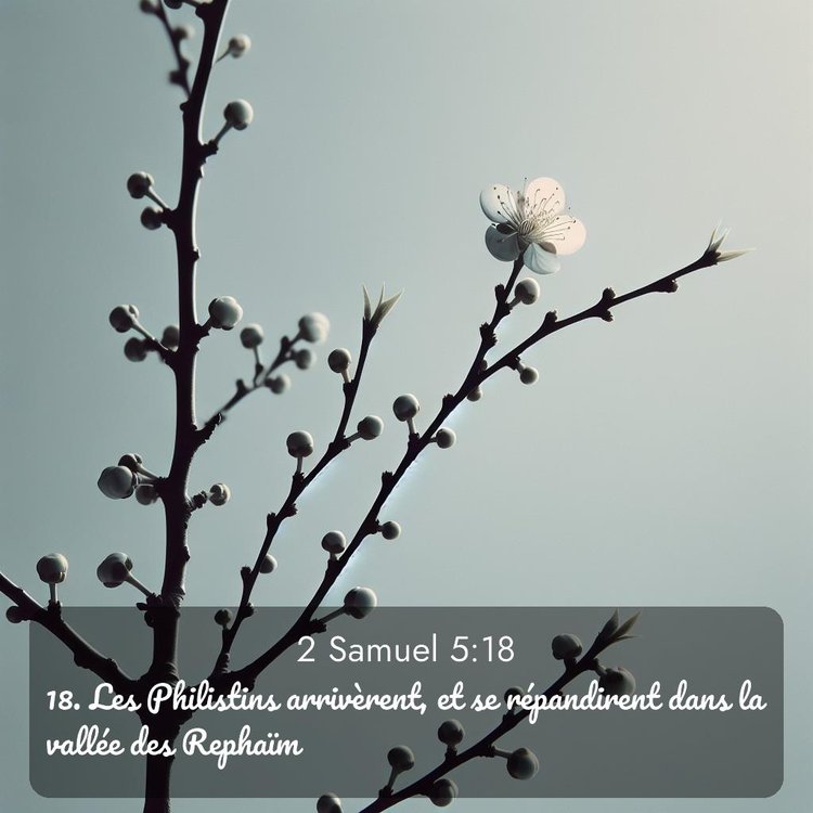 image nature avec verset biblique de la Bible