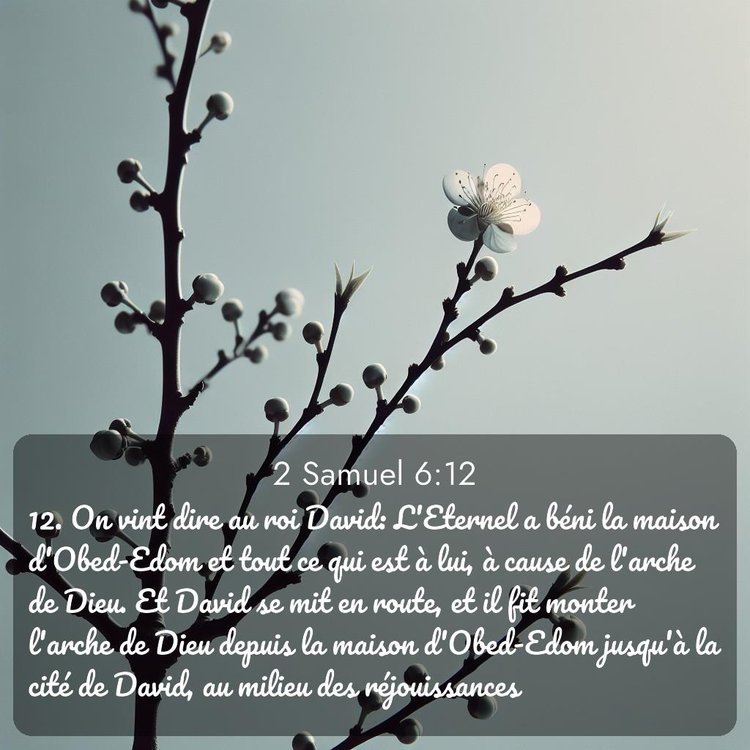 image nature avec verset biblique de la Bible
