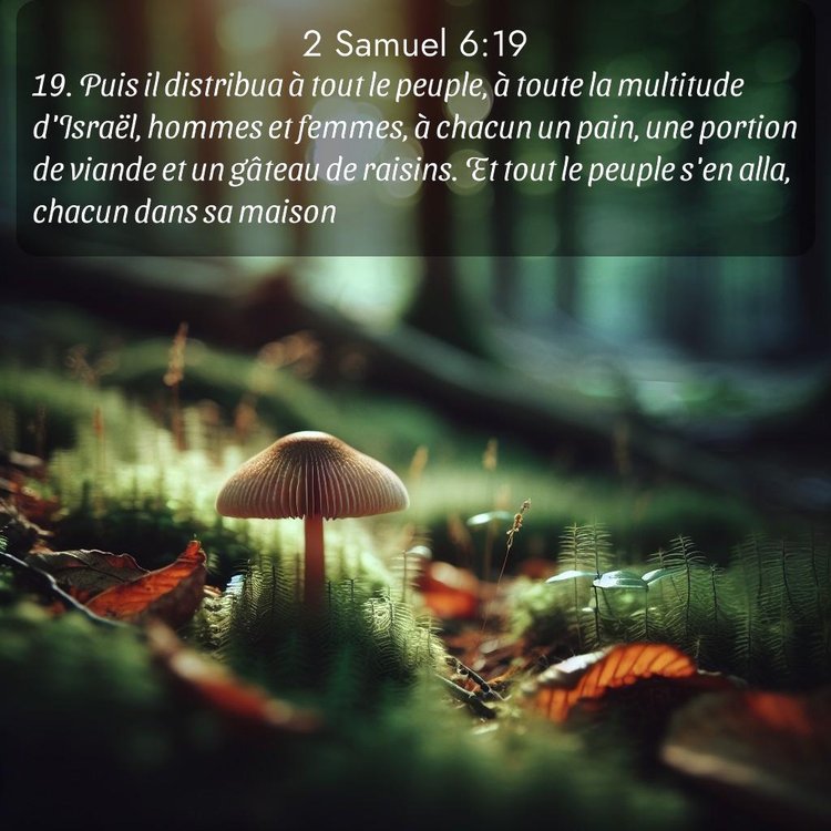 Segond 2 Samuel 6:19