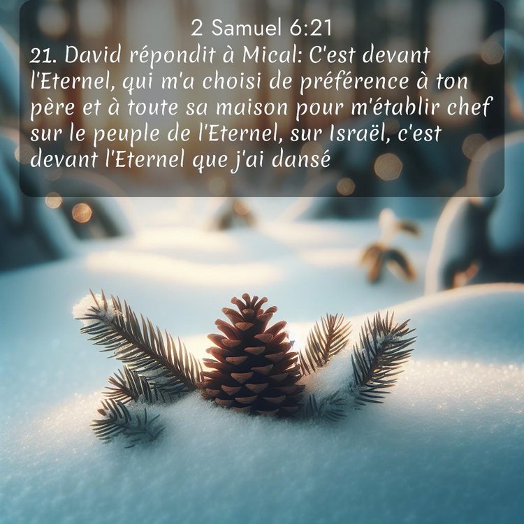 Segond 2 Samuel 6:21