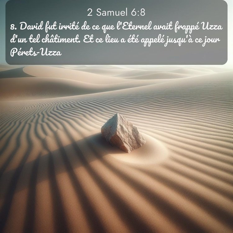 Segond 2 Samuel 6:8