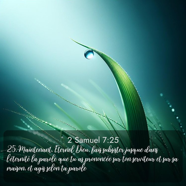 Segond 2 Samuel 7:25